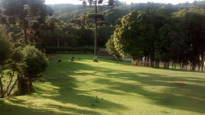 Comercial à venda ferraria com 50m² e 1 quarto por R$ 6.200.000 - 1461895346-img-20141126-190415131.jpg