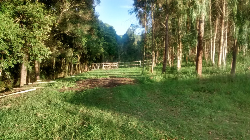 Comercial à venda ferraria com 50m² e 1 quarto por R$ 6.200.000 - 243847871-img-20141126-190126716-hdr.jpg