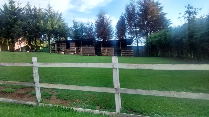 Comercial à venda ferraria com 50m² e 1 quarto por R$ 6.200.000 - 654380679-img-20141126-185427530-hdr-copia.jpg