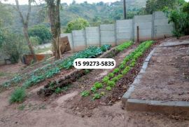 Chácara à venda Centro com 1200m² - 4 dormitórios -  vagas - R$ 360.000 - 515832150-5.jpg