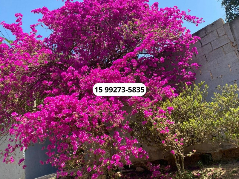 Chácara à venda Centro com 1200m² e 4 quartos por R$ 360.000 - 1252670353-9.jpg