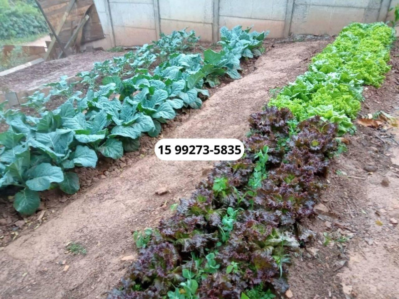 Chácara à venda Centro com 1200m² e 4 quartos por R$ 360.000 - 752786099-19.jpg