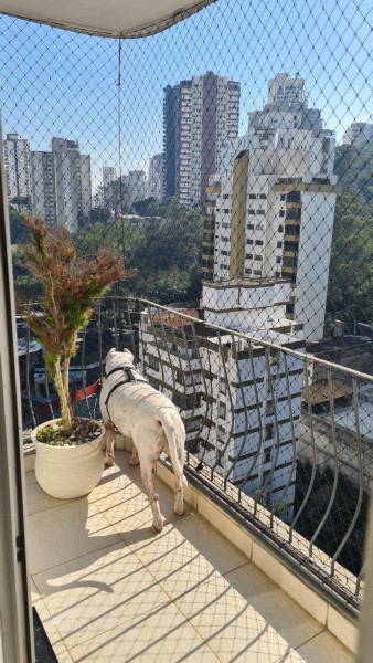 Cobertura à venda Vila Andrade com 216m² e 3 quartos por R$ 1.350.000 - 1480524686-4ggnjicod-2d82nlsjjqbtusvxqagcfm6as7xl8xhyu-plaintext-638319528181050412.jpg