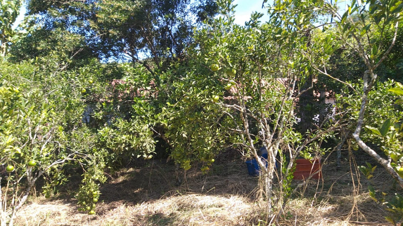 Sítio à venda Centro com 18000m² e 4 quartos por R$ 380.000 - 1218205446-img-20220423-wa0031.jpg