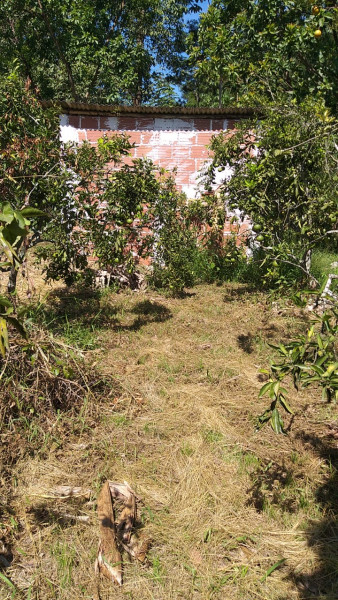 Sítio à venda Centro com 18000m² e 4 quartos por R$ 380.000 - 1865513650-img-20220423-wa0045.jpg