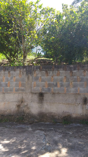 Sítio à venda Centro com 18000m² e 4 quartos por R$ 380.000 - 577389164-img-20220423-wa0062.jpg