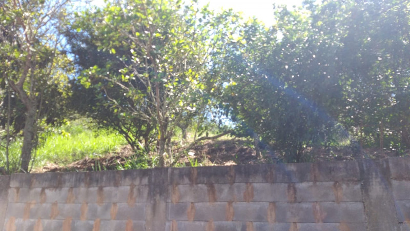 Sítio à venda Centro com 18000m² e 4 quartos por R$ 380.000 - 656614142-img-20220423-wa0064.jpg