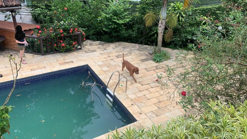 Casa à venda Itanhangá com 1036m² e 6 quartos por R$ 2.550.000 - 2129887389-whatsapp-image-2022-02-04-at-12.jpeg