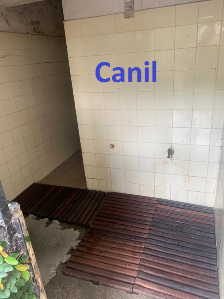 Casa à venda Itanhangá com 1036m² e 6 quartos por R$ 2.550.000 - 472931998-whatsapp-image-2022-02-04-at-12.jpeg