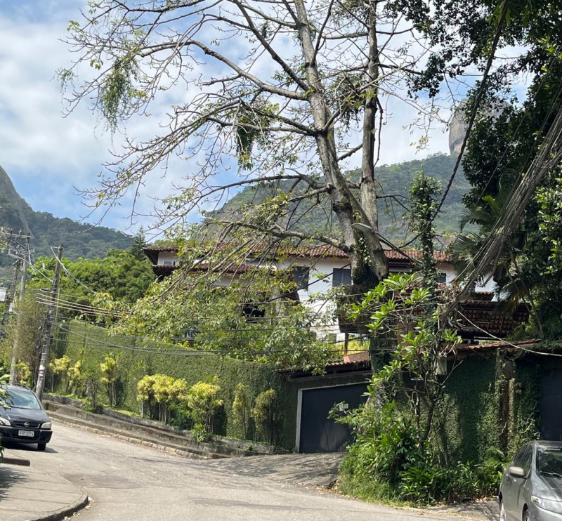 Casa à venda Itanhangá com 1036m² e 6 quartos por R$ 2.550.000 - 615908598-whatsapp-image-2022-09-20-at-16.jpeg