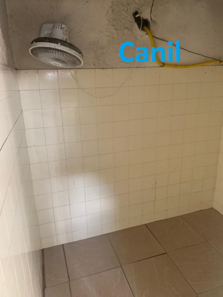 Casa à venda Itanhangá com 1036m² e 6 quartos por R$ 2.550.000 - 860510318-whatsapp-image-2022-02-04-at-12.jpeg