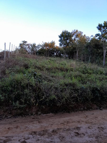 Terreno à venda Centro com 250m² e 1 quarto por R$ 40.000 - 1074367167-p-img-20231003-wa0029.jpg