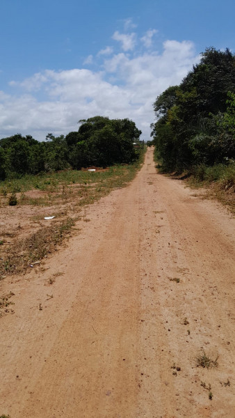 Terreno à venda Centro com 250m² e 1 quarto por R$ 40.000 - 619434278-p-img-20231003-wa0031.jpg