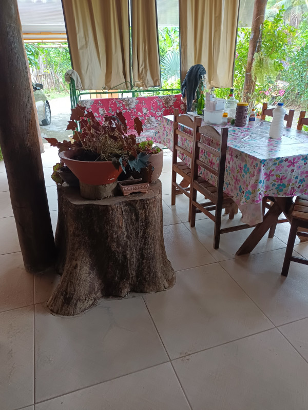 Chácara à venda Agrobrasil Papucaia Cachoeiras de Macacu RJ  com 110m² e 2 quartos por R$ 480.000 - 1221392604-inbound660428572408590668.jpg