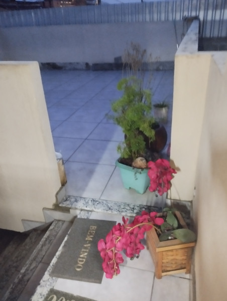 Casa à venda Granja Werneck com 300m² e 2 quartos por R$ 600.000 - 324498060-img-20231020-181809.jpg
