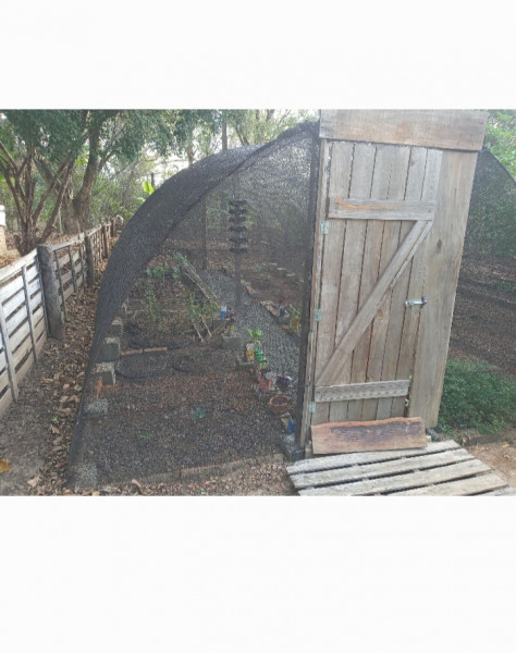 Chácara à venda Morada do Sol com 2300m² e 4 quartos por R$ 900.000 - 1098556893-screenshot-20230926-153005-gallery.jpg