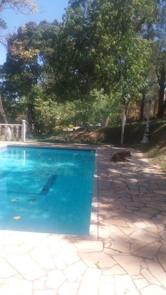 Sítio à venda Várzea das flores  com 2500m² e 4 quartos por R$ 390.000 - 1203753636-whatsapp-image-2023-10-16-at-16.jpeg
