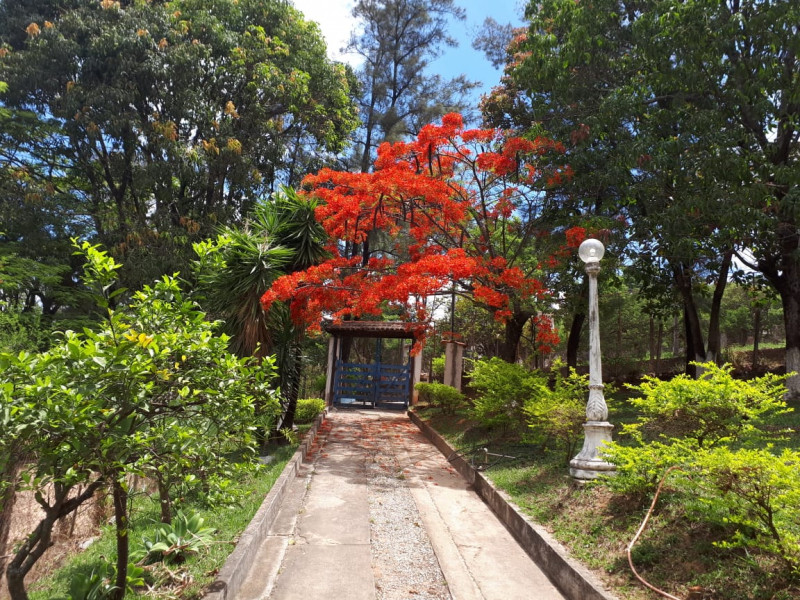 Sítio à venda Várzea das flores  com 2500m² e 4 quartos por R$ 390.000 - 2071989877-whatsapp-image-2023-10-16-at-16.jpeg