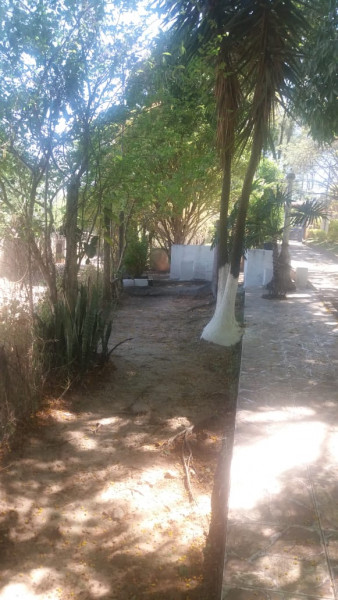 Sítio à venda Várzea das flores  com 2500m² e 4 quartos por R$ 390.000 - 2105586752-whatsapp-image-2023-10-16-at-16.jpeg