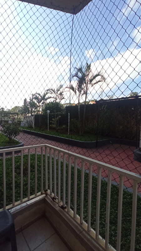 Apartamento à venda Nova Petrópolis com 65m² e 2 quartos por R$ 310.000 - 1920395117-img-20230619-130048.jpg