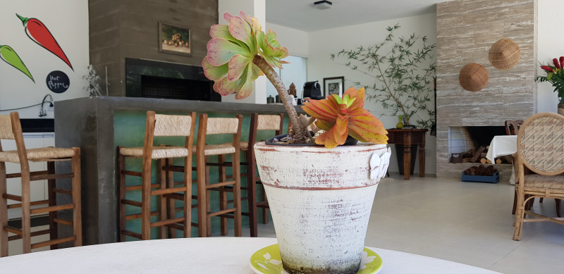 Apartamento à venda Xangri-Lá com 75m² e 2 quartos por R$ 650.000 - 387090394-20210409-115235.jpg