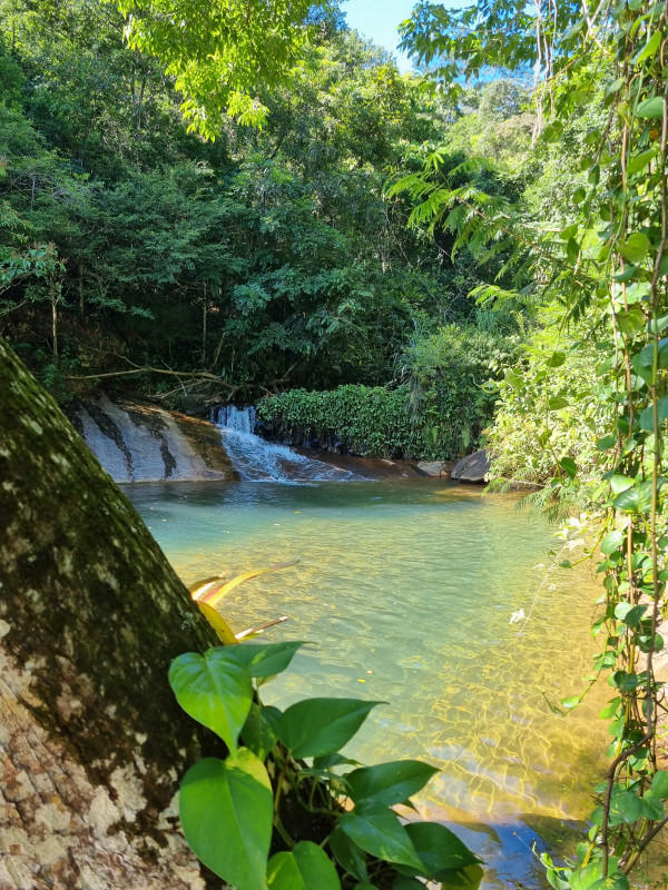 Sítio à venda Centro com 125000m² e 9 quartos por R$ 4.000.000 - 1657806246-1000034670.jpg