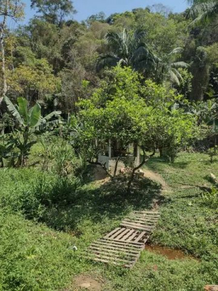 Sítio à venda Centro com 24000m² e 3 quartos por R$ 350.000 - 158048024-img-4066.jpeg