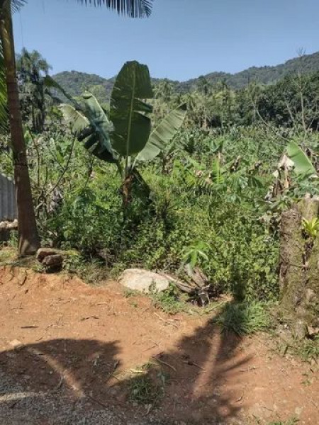 Sítio à venda Centro com 24000m² e 3 quartos por R$ 350.000 - 1664251008-img-4062.jpeg