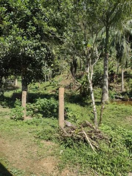 Sítio à venda Centro com 24000m² e 3 quartos por R$ 350.000 - 1679178880-img-4059.jpeg
