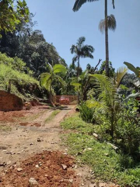 Sítio à venda Centro com 24000m² e 3 quartos por R$ 350.000 - 194982538-img-4053.jpeg