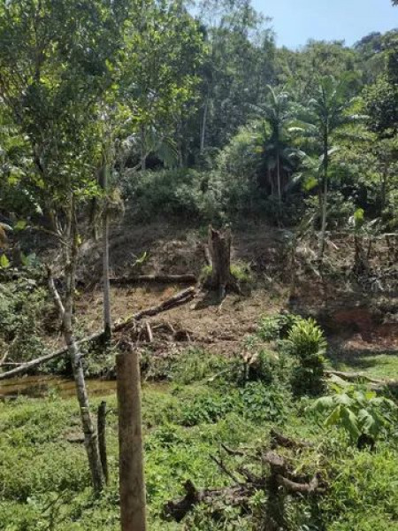 Sítio à venda Centro com 24000m² e 3 quartos por R$ 350.000 - 195216833-img-4063.jpeg