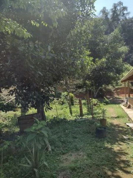 Sítio à venda Centro com 24000m² e 3 quartos por R$ 350.000 - 263186527-img-4065.jpeg