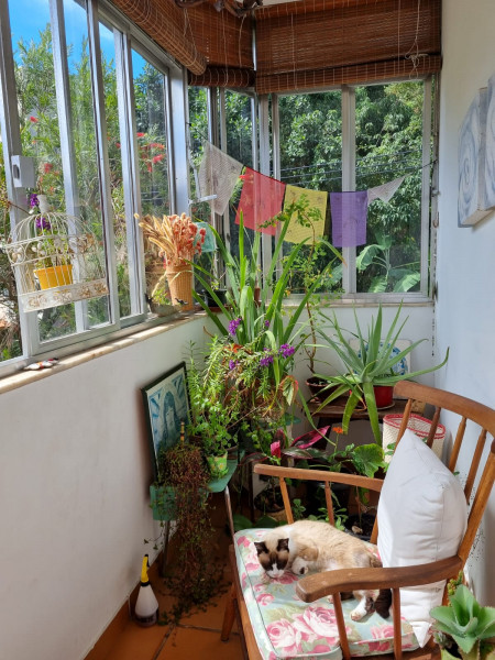 Apartamento à venda Laranjeiras com 128m² e 3 quartos por R$ 1.290.000 - 1749123179-9da08398-3baf-4978-b210-f537ba9180d9.jpg