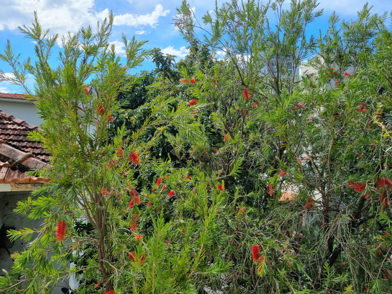 Apartamento à venda Laranjeiras com 128m² e 3 quartos por R$ 1.290.000 - 2082387930-bfa49e74-8dfc-4df2-b9e1-1442ce56053d.jpg