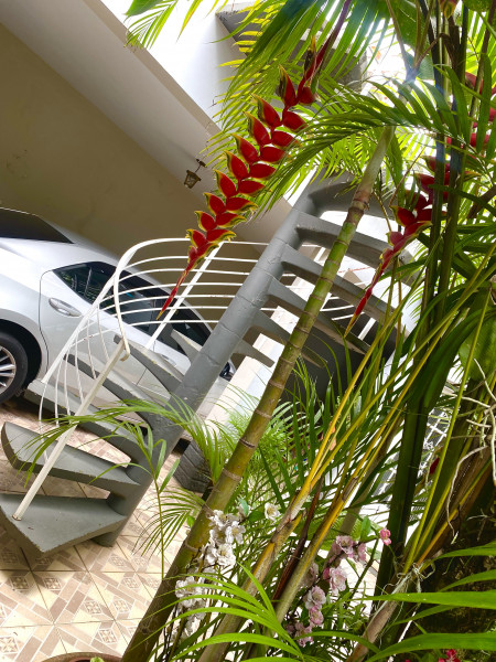 Casa à venda Jardim Europa com 332m² e 3 quartos por R$ 3.800.000 - 929226146-f627c346-9d7f-4418-84ea-8ed3f6dc9cea.jpeg