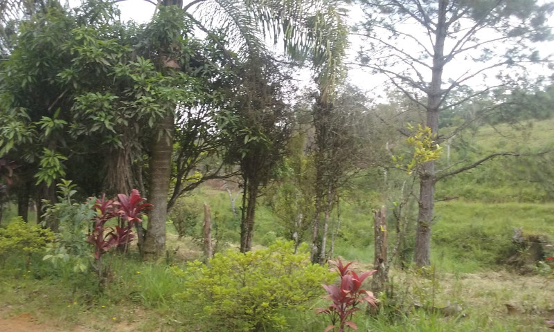 Sítio à venda Engenheiro Marsilac com 90000m² e 2 quartos por R$ 690.000 - 371592423-photo-2023-10-10-19-47-02.jpg