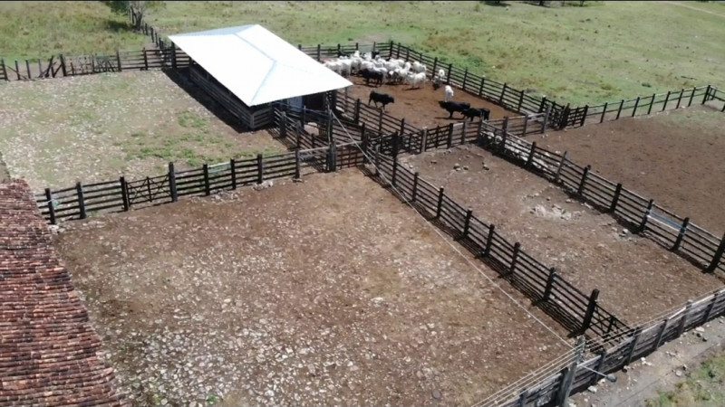 Fazenda à venda Centro com 918m² e 4 quartos por R$ 14.250.000 - 1603074157-screenshot-20230920-091908-file-manager.jpg