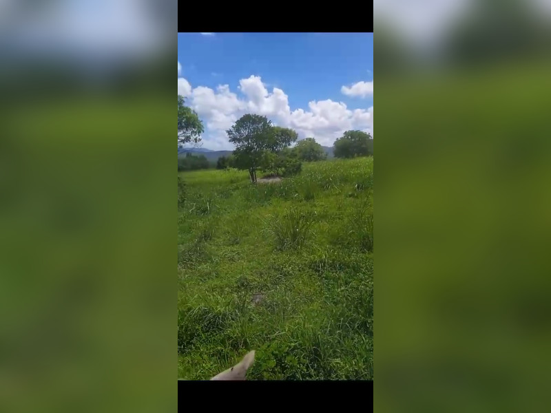 Fazenda à venda Centro com 918m² e 4 quartos por R$ 14.250.000 - screenshot-20240118-223620-whatsapp.jpg