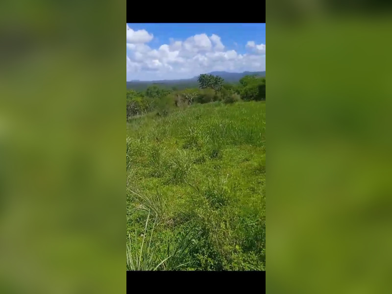 Fazenda à venda Centro com 918m² e 4 quartos por R$ 14.250.000 - screenshot-20240118-223641-whatsapp.jpg