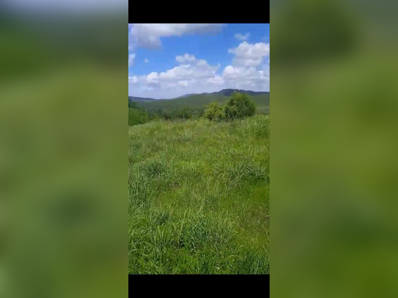 Fazenda à venda Centro com 918m² e 4 quartos por R$ 14.250.000 - screenshot-20240118-223720-whatsapp.jpg