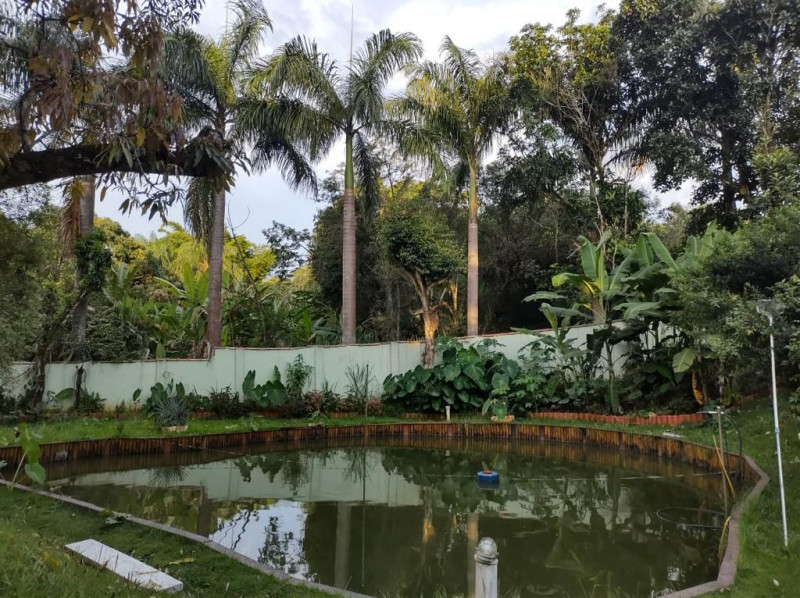 Chácara à venda Vila Principal com 2170m² e 3 quartos por R$ 950.000 - 1246895431-photo-2023-10-06-21-33-59-4.jpg