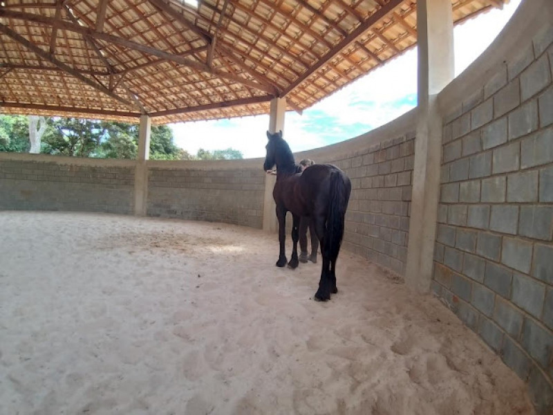 Sítio à venda Centro com 55000m² e 4 quartos por R$ 2.500.000 - 1295964379-img-7781.jpeg