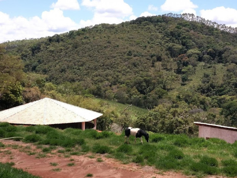 Sítio à venda Centro com 55000m² e 4 quartos por R$ 2.500.000 - 2129005859-img-7782.jpeg