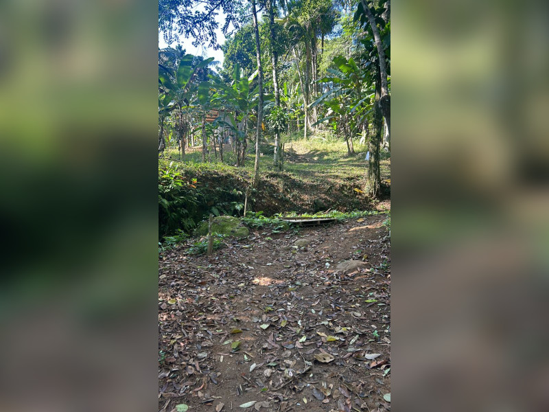 imóvel com 5036m² - Praia da Fortaleza - Ubatuba