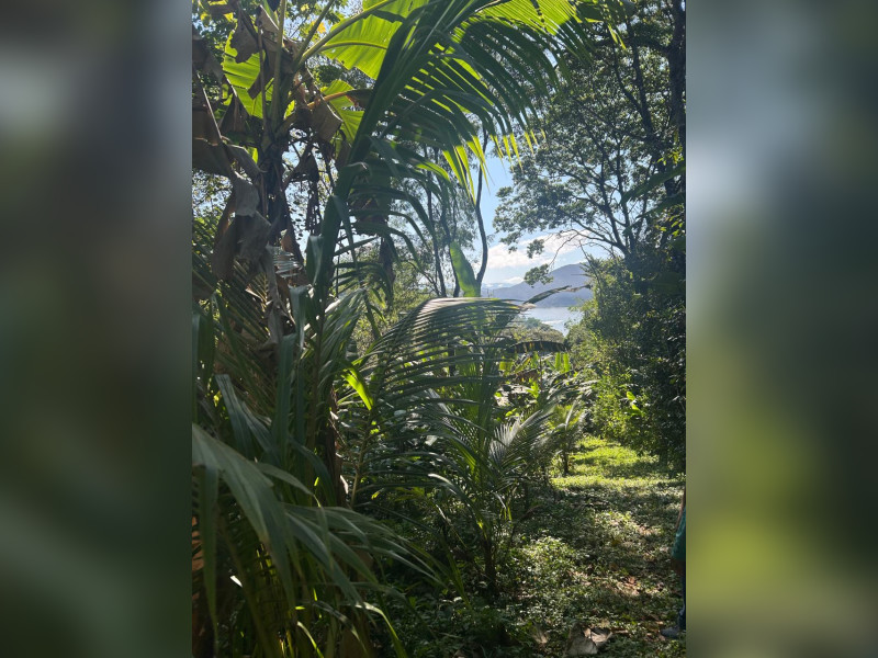 imóvel com 5036m² - Praia da Fortaleza - Ubatuba
