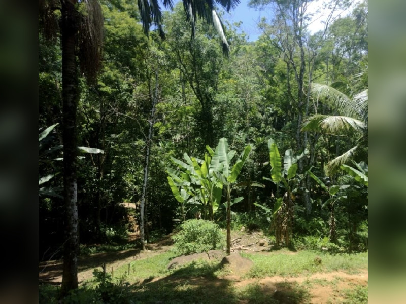 imóvel com 5036m² - Praia da Fortaleza - Ubatuba