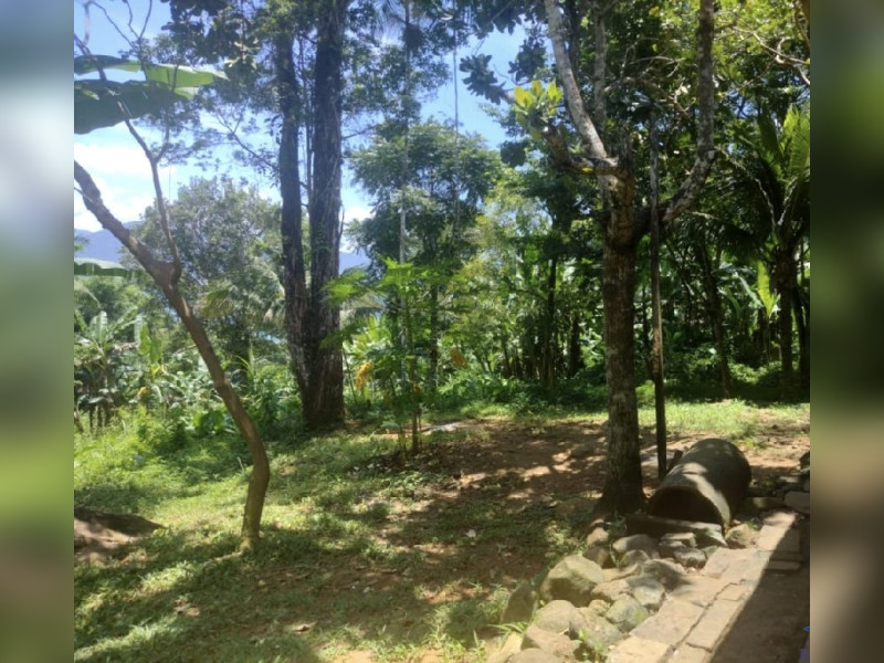 imóvel com 5036m² - Praia da Fortaleza - Ubatuba