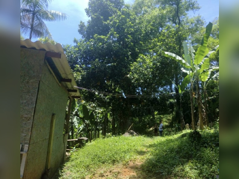 imóvel com 5036m² - Praia da Fortaleza - Ubatuba