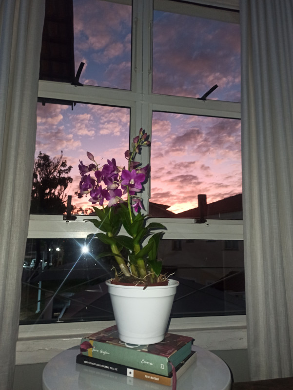 Apartamento à venda Parque Villa Flores com 48m² e 2 quartos por R$ 295.000 - 1369572519-img-20221103-184504.jpg