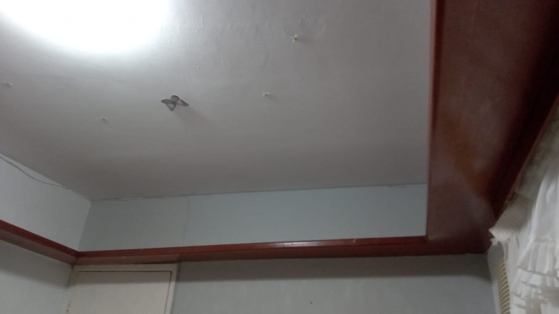 Apartamento à venda Candeias com 54m² e 2 quartos por R$ 100.000 - 1932005111-whatsapp-image-2023-10-16-at-00.jpeg